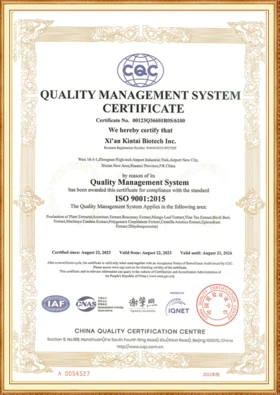 Kintai ISO 90012015